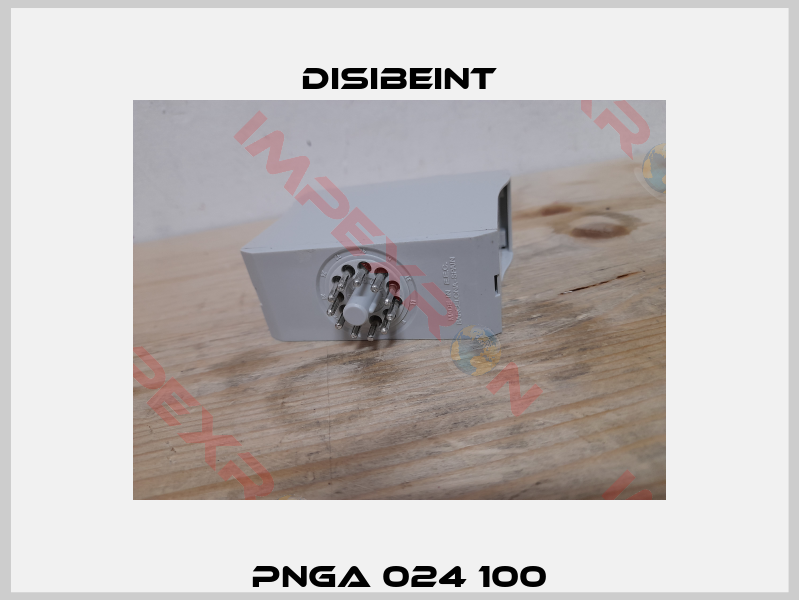 PNGA 024 100-1