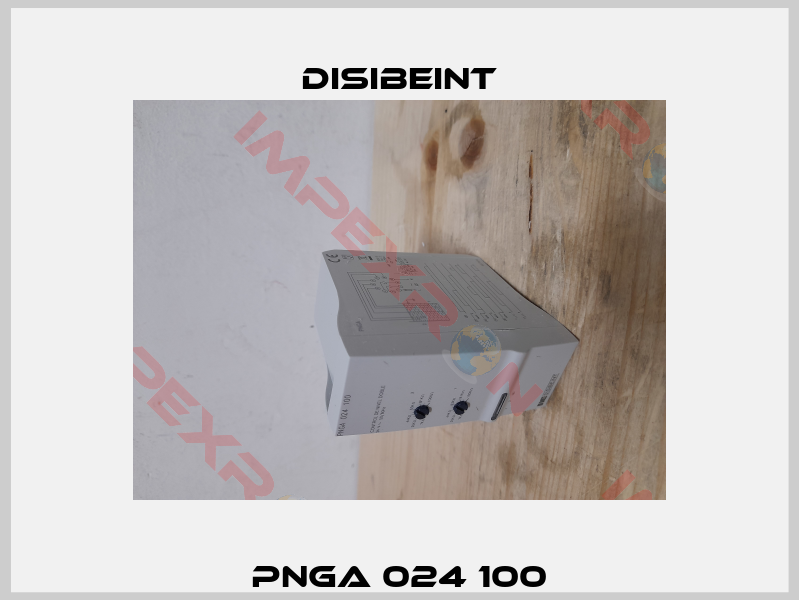 PNGA 024 100-2