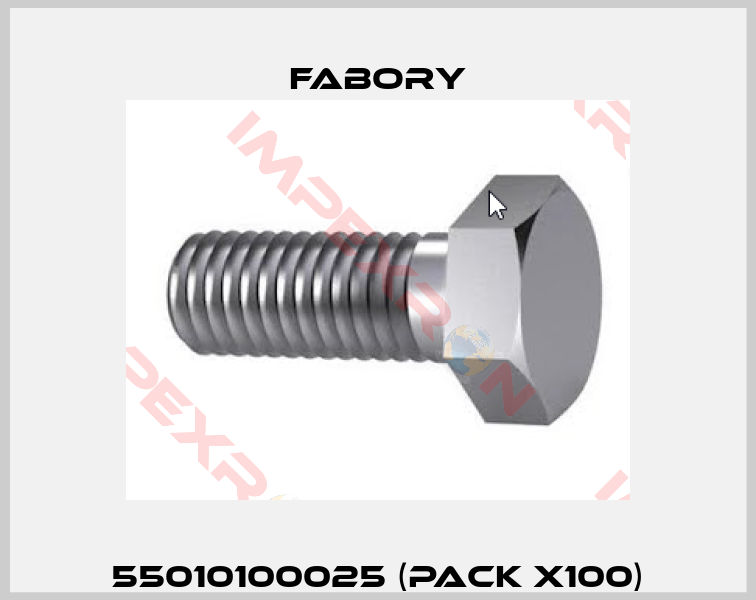 55010100025 (pack x100)-0