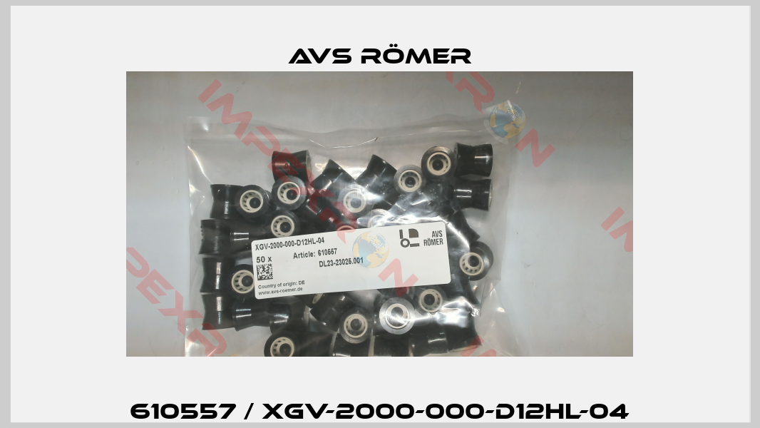 610557 / XGV-2000-000-D12HL-04-4