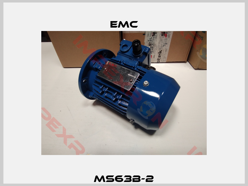 MS63B-2-1