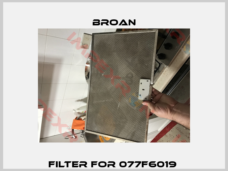 filter for 077F6019 -0