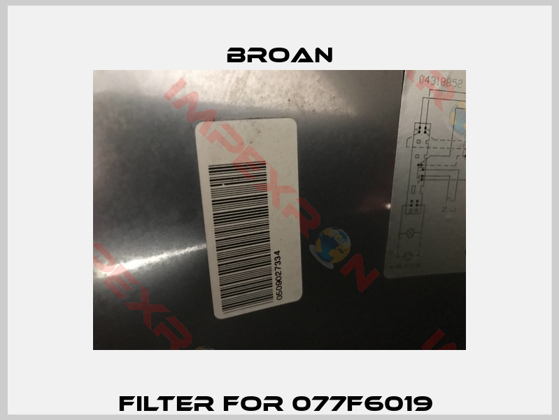 filter for 077F6019 -1