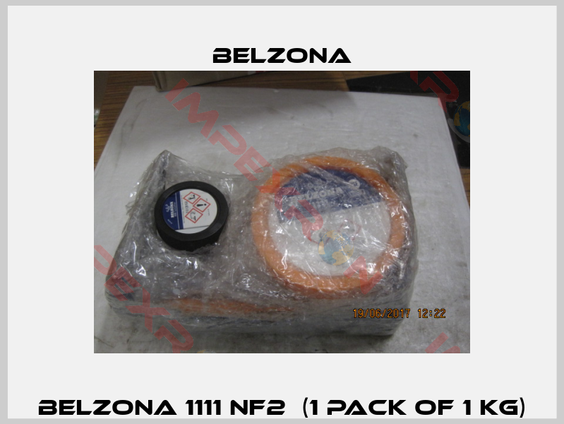 Belzona 1111 NF2  (1 pack of 1 kg)-1