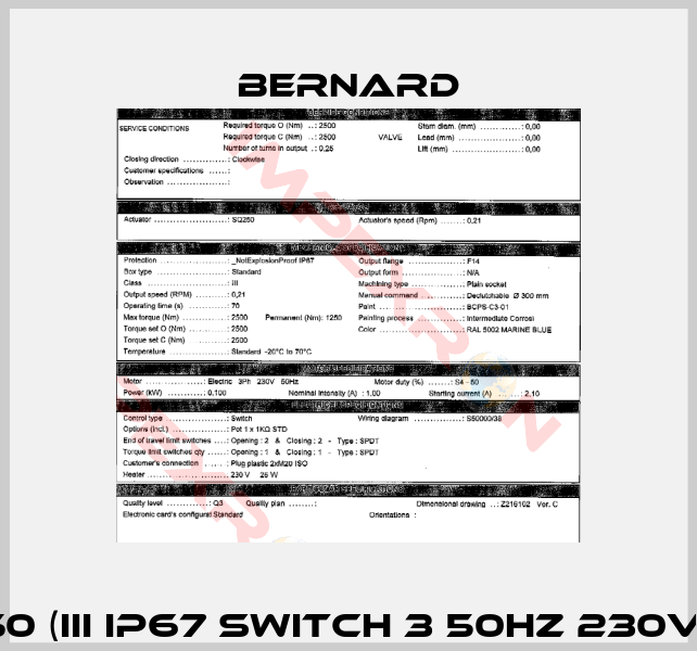 SQ250 (III IP67 Switch 3 50Hz 230V 70s)-0