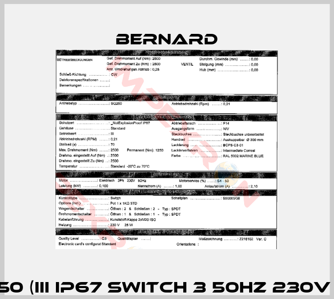SQ250 (III IP67 Switch 3 50Hz 230V 70s)-1
