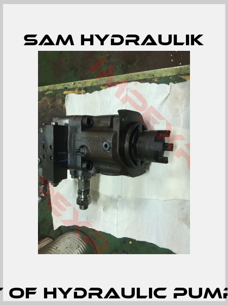 complete set of hydraulic pump VDP2 R15128 -0