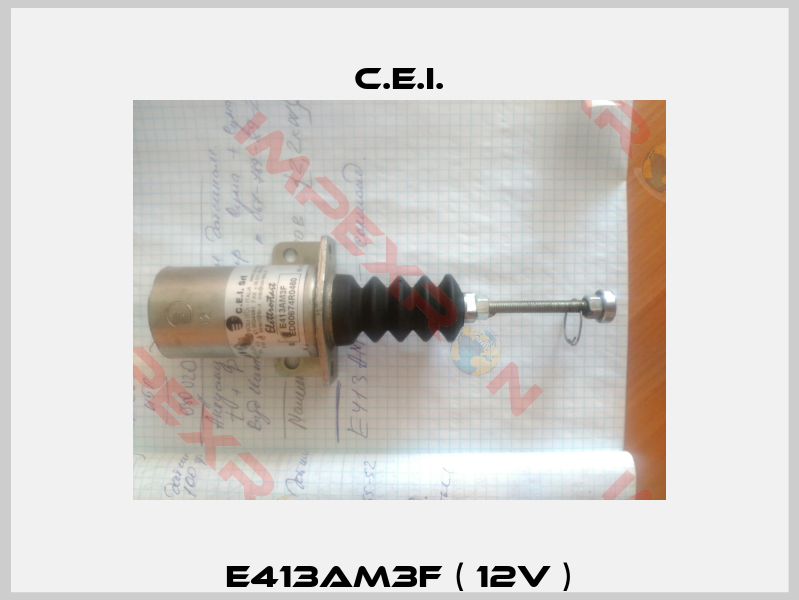 E413AM3F ( 12V )-0