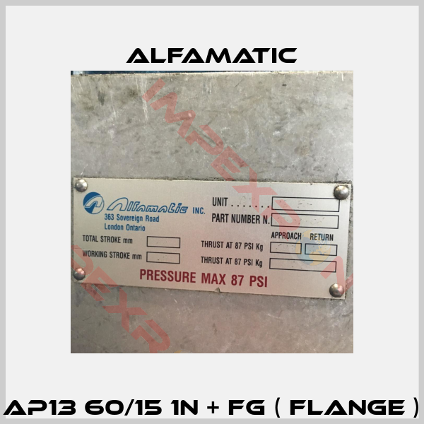 AP13 60/15 1N + FG ( Flange )-0