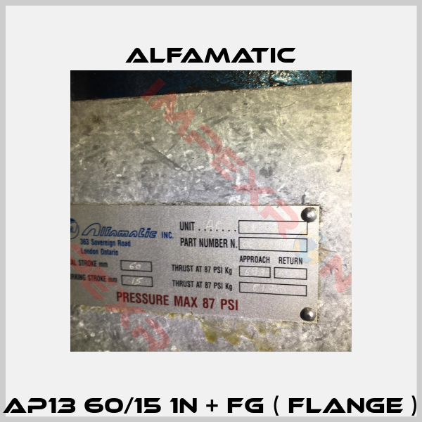 AP13 60/15 1N + FG ( Flange )-1