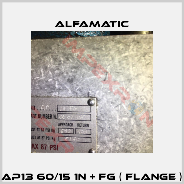AP13 60/15 1N + FG ( Flange )-2