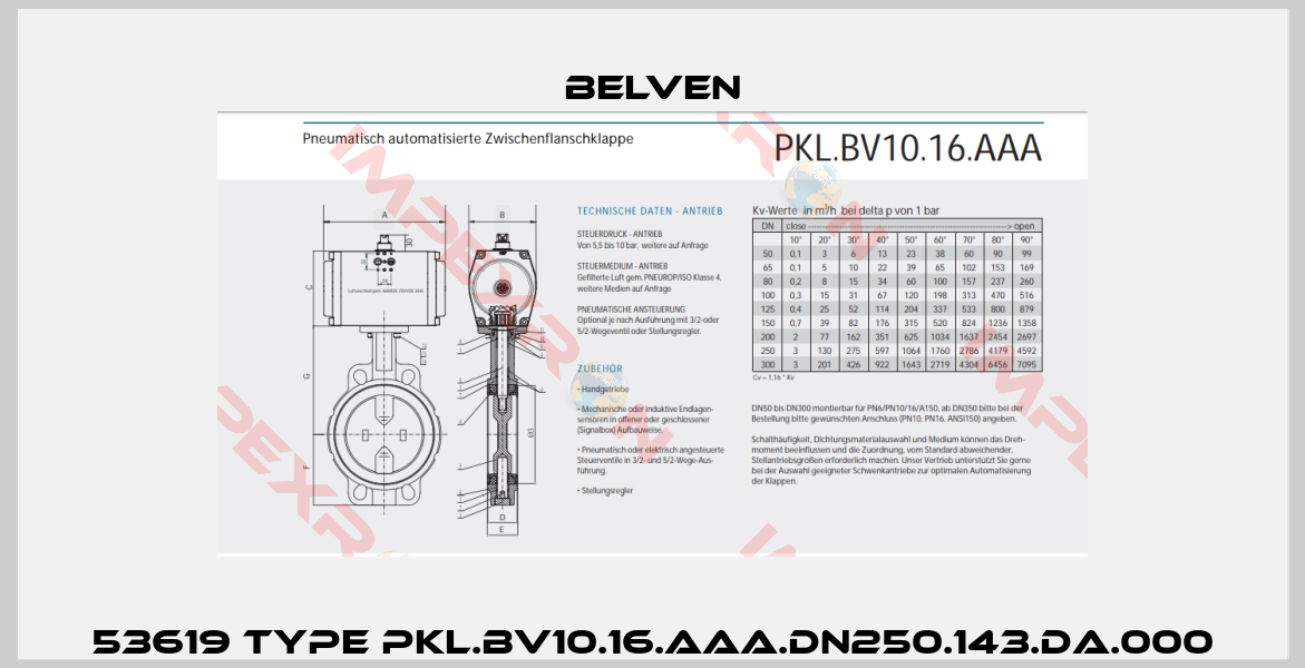 53619 Type PKL.BV10.16.AAA.DN250.143.DA.000-1