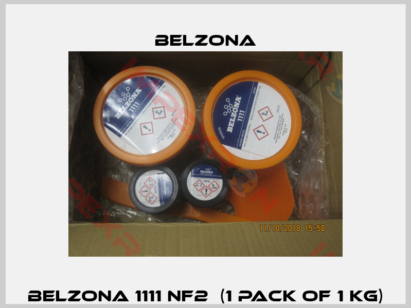 Belzona 1111 NF2  (1 pack of 1 kg)-2