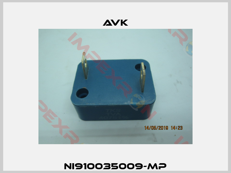 NI910035009-MP-1