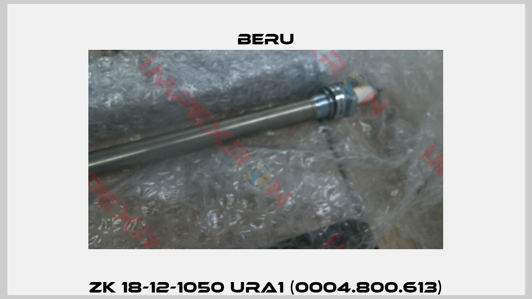 ZK 18-12-1050 URA1 (0004.800.613)-4