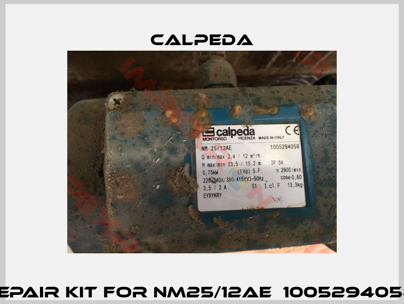 Repair kit for NM25/12AE  1005294058 -0