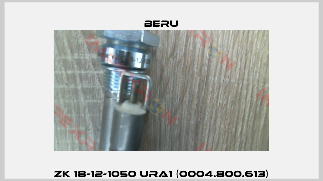 ZK 18-12-1050 URA1 (0004.800.613)-5