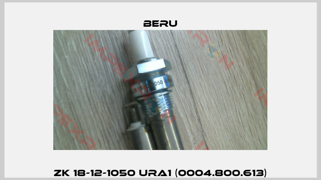 ZK 18-12-1050 URA1 (0004.800.613)-6