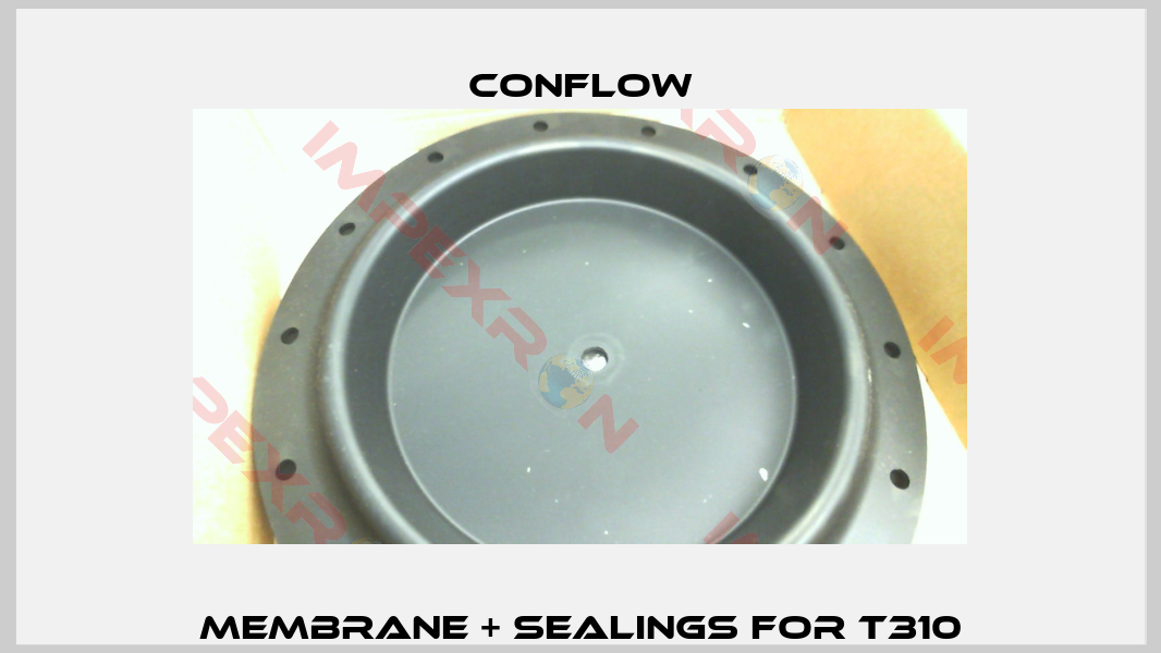 membrane + sealings for T310-0