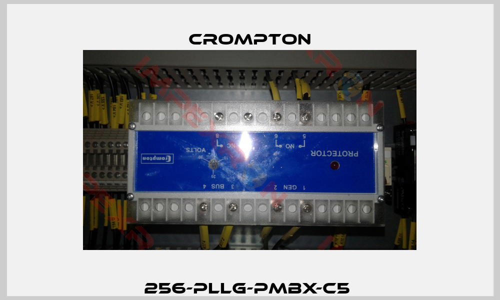 256-PLLG-PMBX-C5 -0
