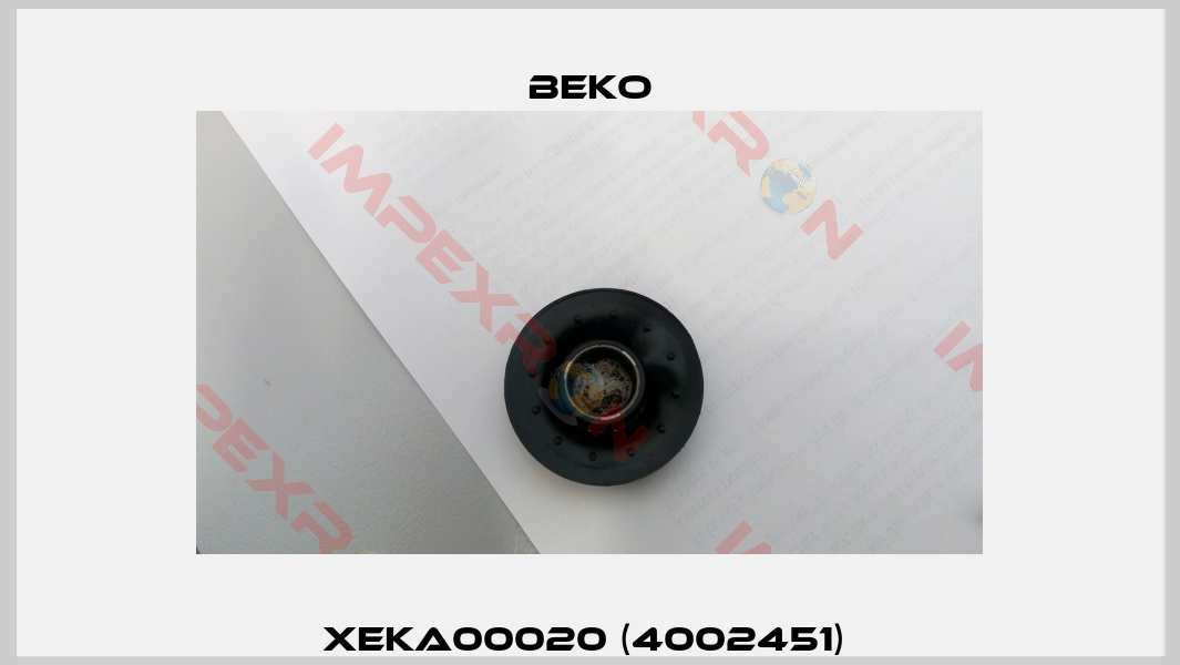 XEKA00020 (4002451) -1