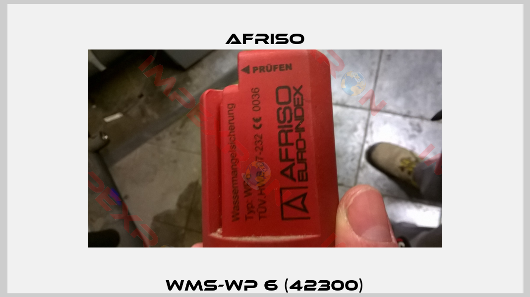 WMS-WP 6 (42300)-0