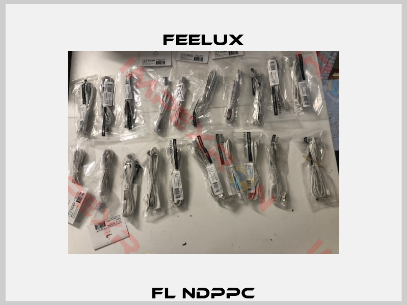 FL NDPPC-1
