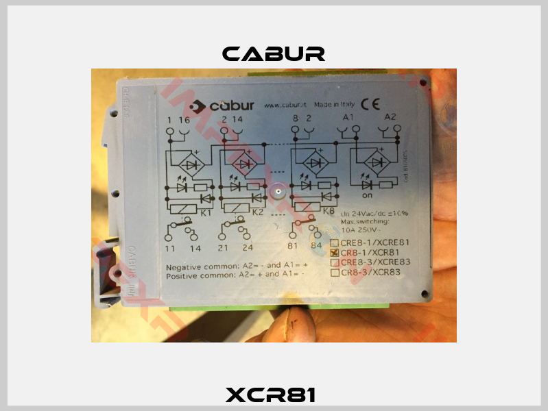 XCR81 -0