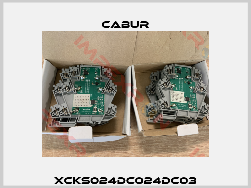 XCKS024DC024DC03-2