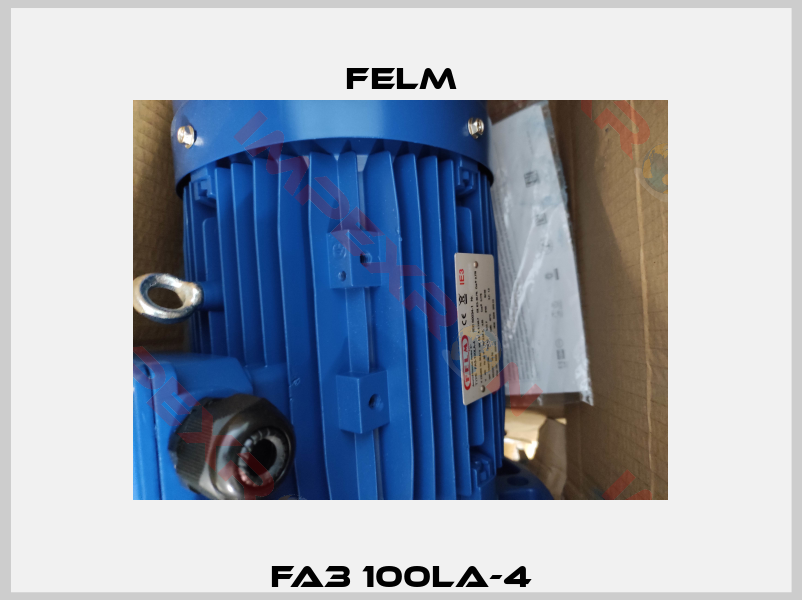 FA3 100LA-4-2