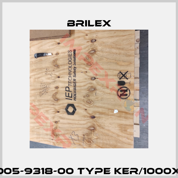 Nr. 1005-9318-00 Type KER/1000X1000-2