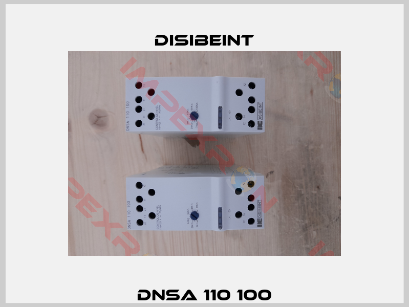 DNSA 110 100-0