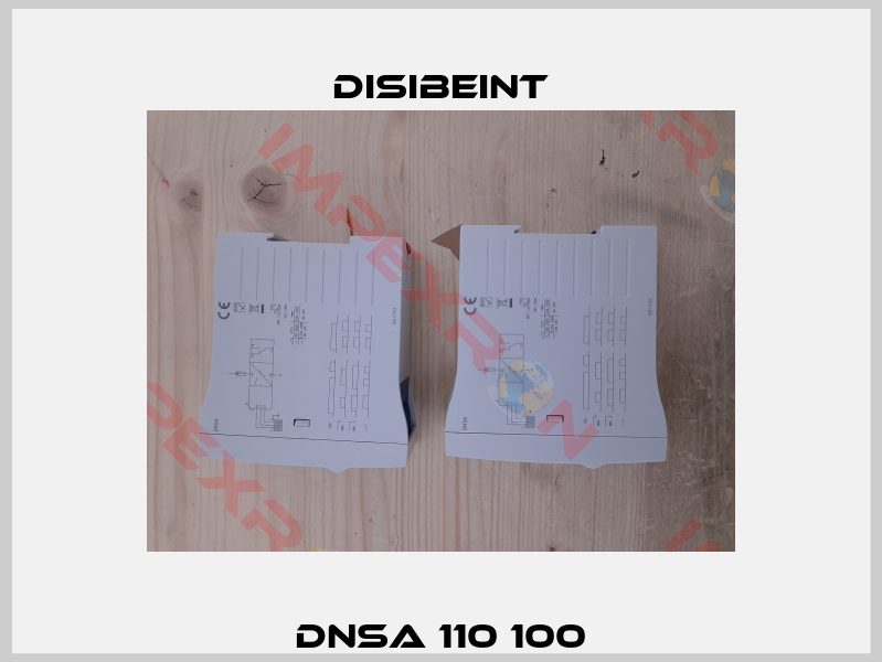 DNSA 110 100-1