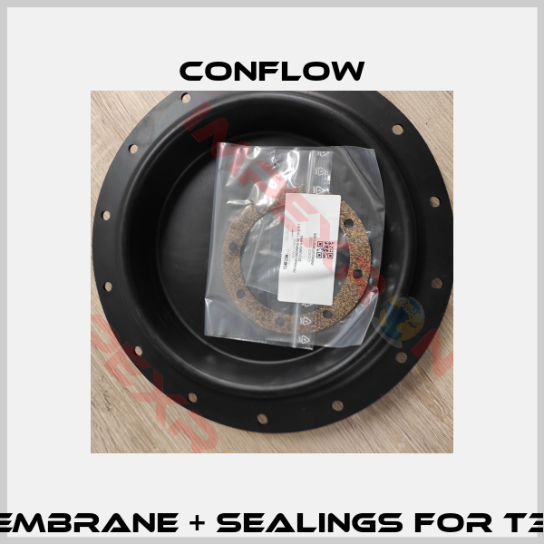 membrane + sealings for T310-1