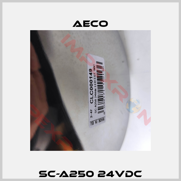SC-A250 24VDC-2