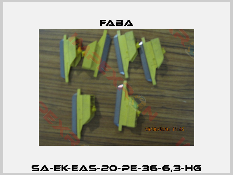 SA-EK-EAS-20-PE-36-6,3-HG-0