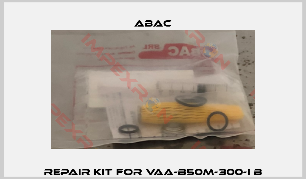 Repair kit for VAA-B50M-300-I B-0