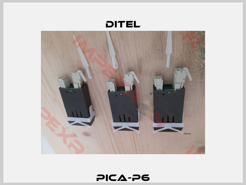 PICA-P6-6