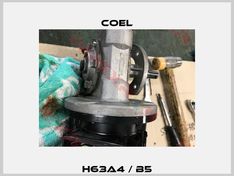 H63A4 / B5-1