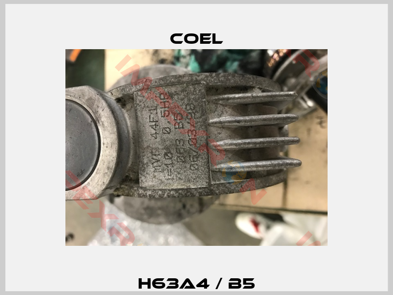 H63A4 / B5-3