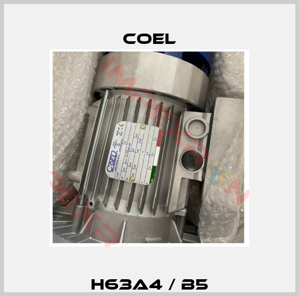 H63A4 / B5-4