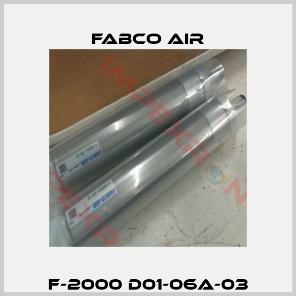 F-2000 D01-06A-03-0
