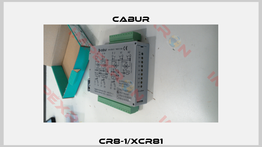 CR8-1/XCR81-2