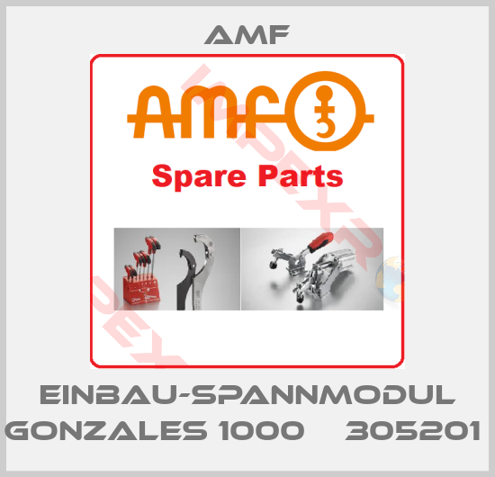 Amf-Einbau-Spannmodul Gonzales 1000    305201 