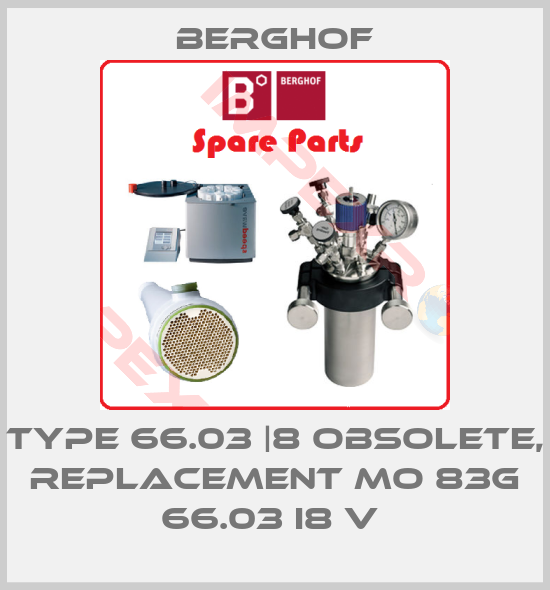 Berghof-Type 66.03 |8 obsolete, replacement MO 83G 66.03 I8 V 
