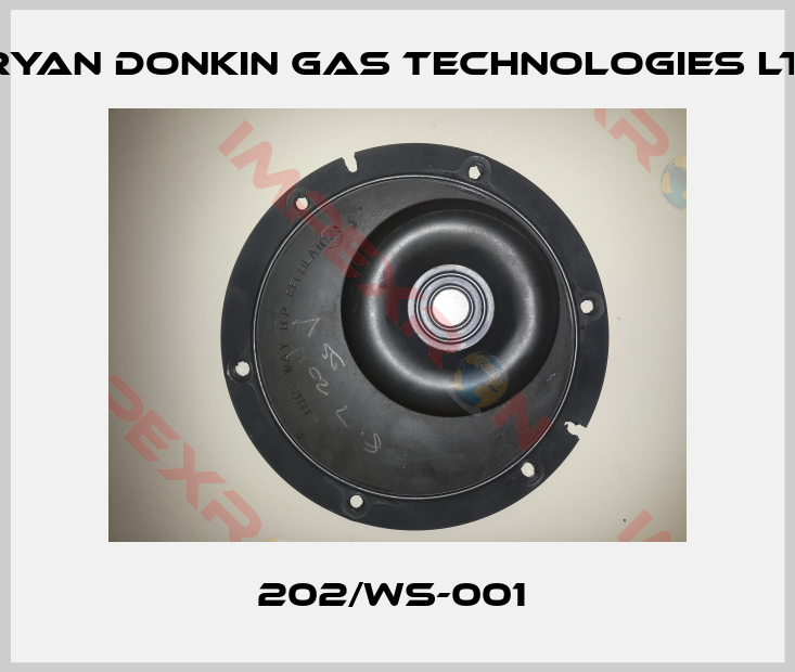 Bryan Donkin Gas Technologies Ltd.-202/WS-001 