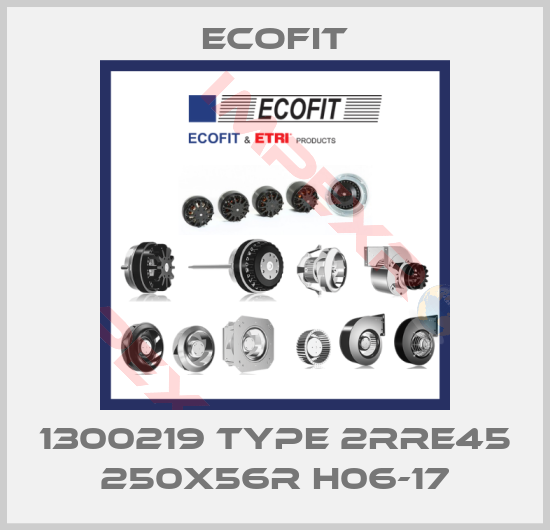 Ecofit-1300219 Type 2RRE45 250x56R H06-17