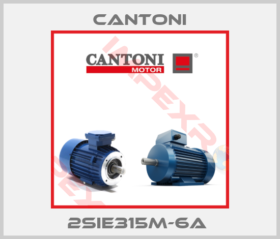 Cantoni-2SIE315M-6A 