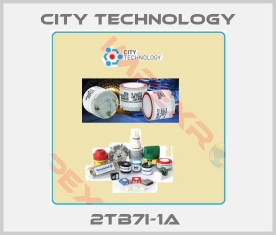 City Technology-2TB7I-1A 