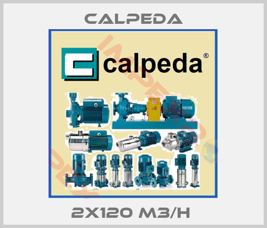 Calpeda-2X120 M3/H 